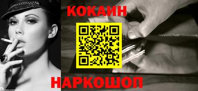 спайс Кингисепп