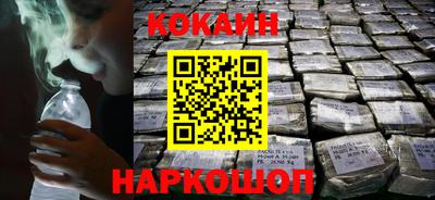 спайс Кингисепп