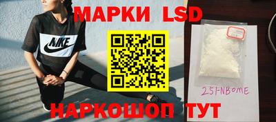 спайс Кингисепп
