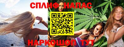 спайс Кингисепп