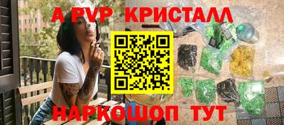 спайс Кингисепп