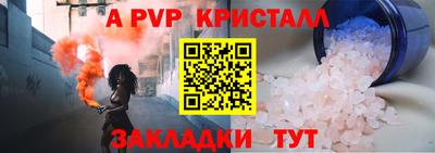 спайс Кингисепп